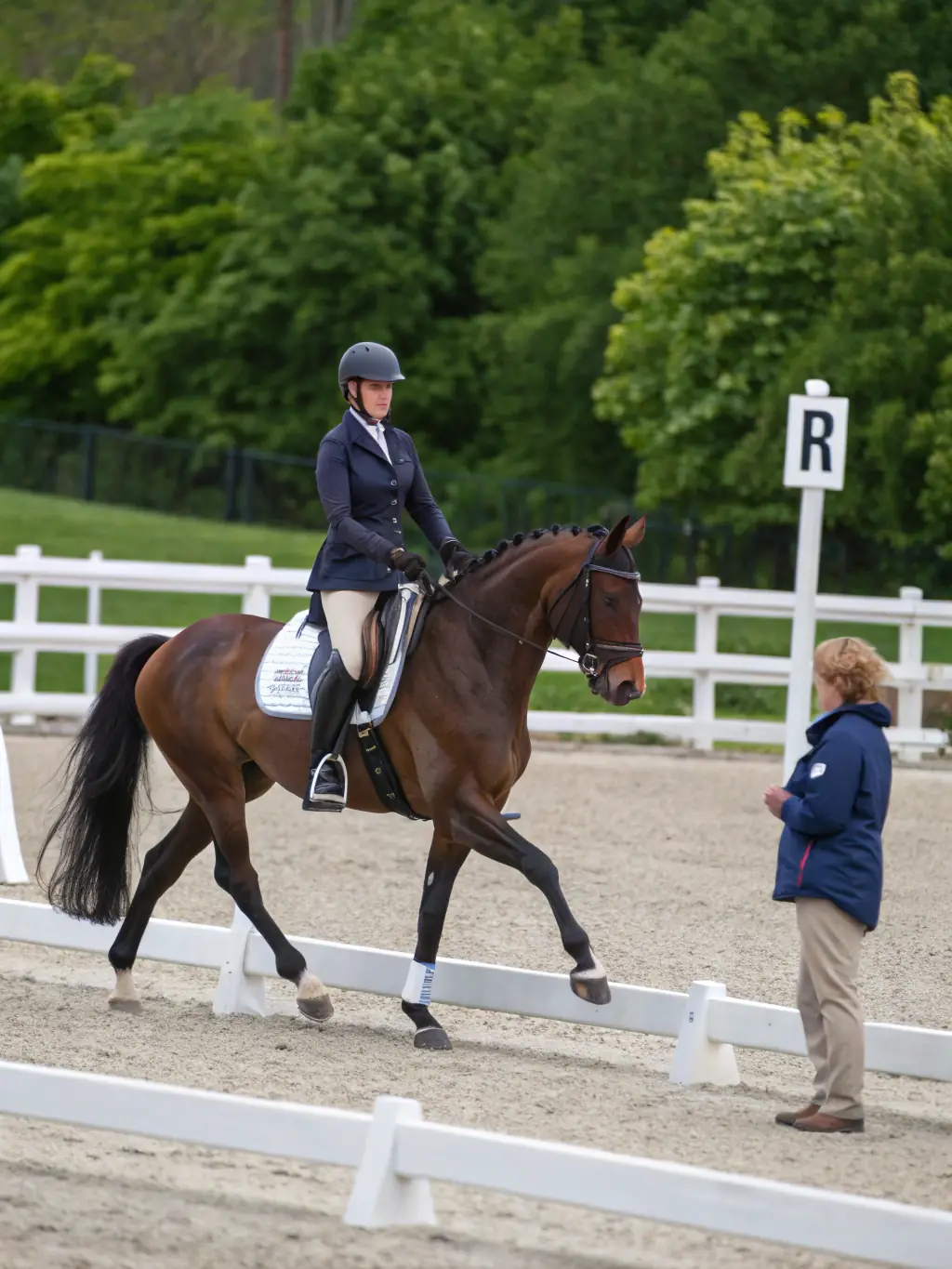 An image showcasing a beautifully groomed horse and rider participating in a dressage competition at SOC COURSES ANDELYS VEXIN.